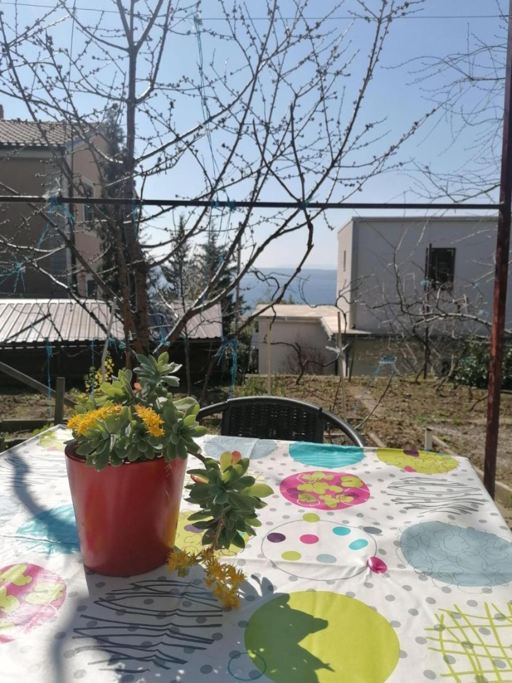 Apartments Olgi - Free Parking Crikvenica Zewnętrze zdjęcie